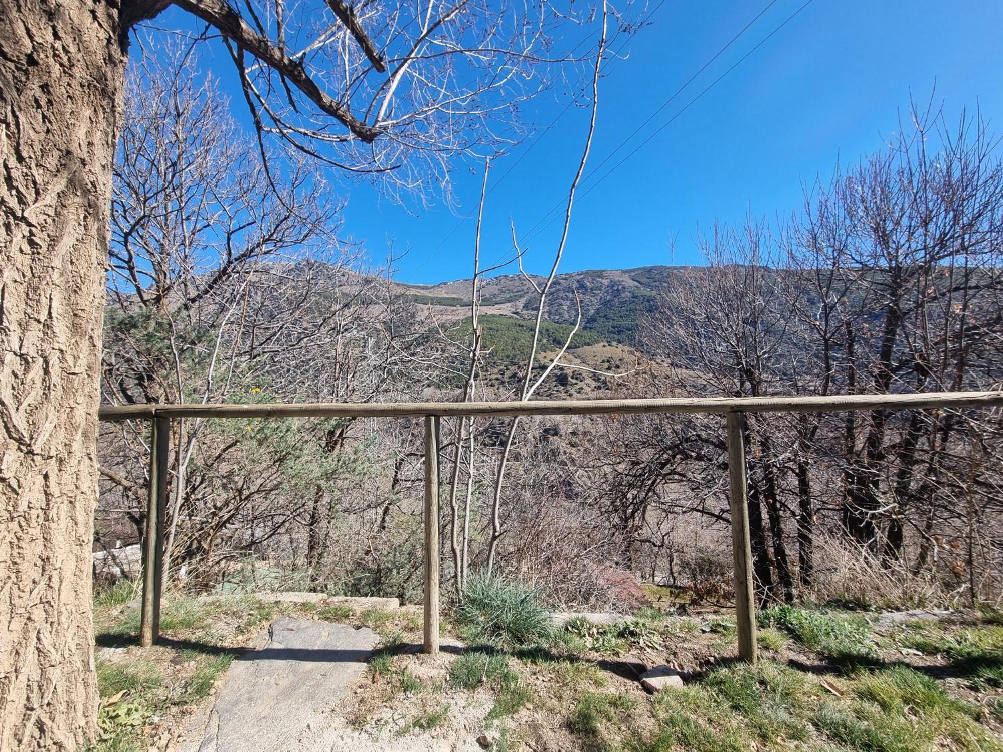 Camping Trevelez Exterior photo